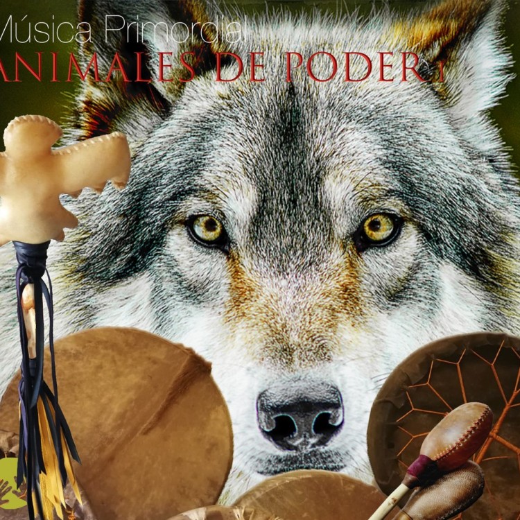 Animales de Poder 1 - Álbum completo