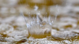 Método de curación chamánica por ‘Extracción’™ ONLINE (en 3 media jornadas)